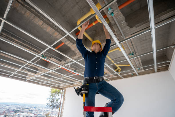 Best Plumbing Inspection Services  in Clovis, NM